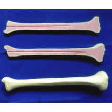 Medical Human Surgery Practice Bone Skeleton Model Supply (R010111)